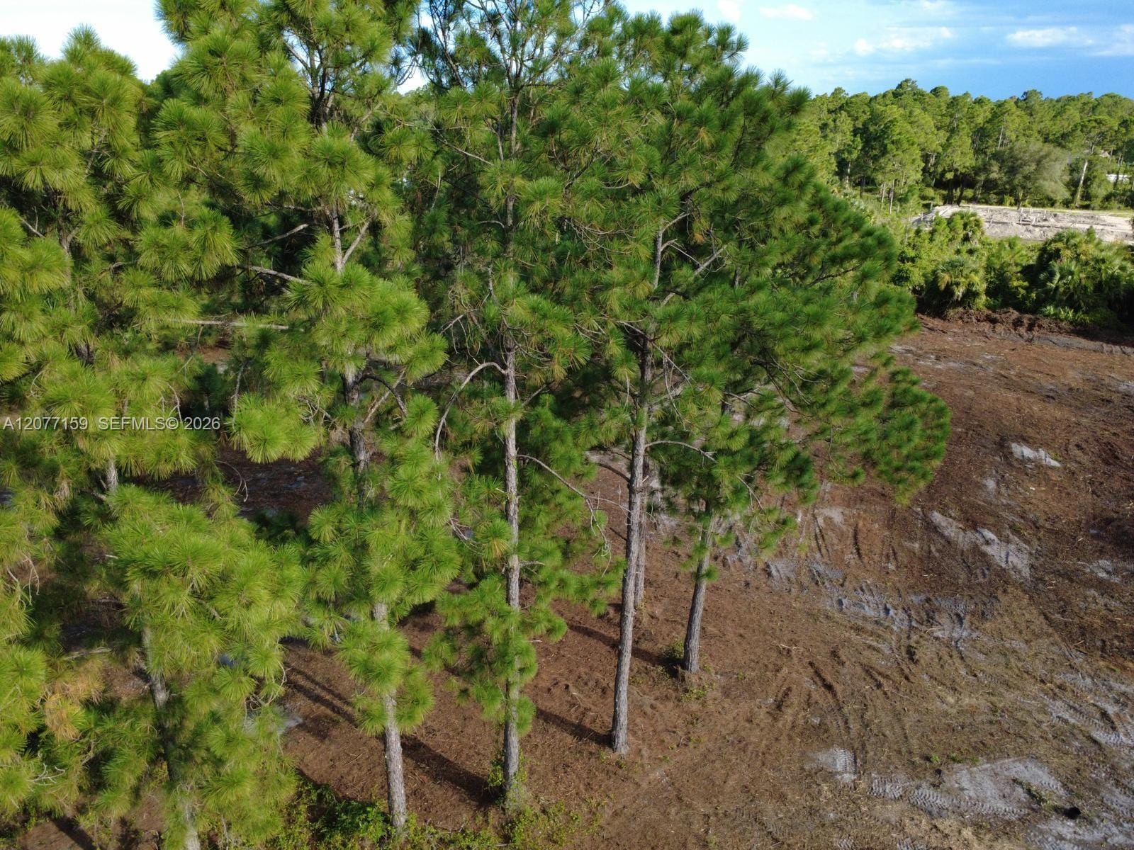 565 S Palomino Street, Clewiston, FL 33440 photo 7