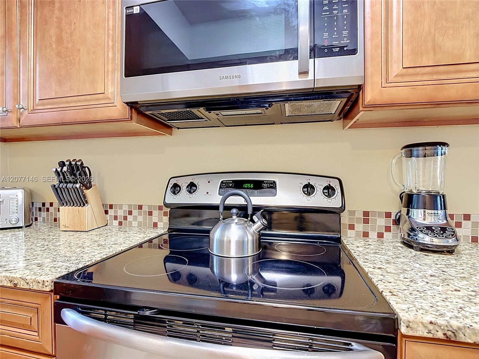1007 Baseball And Boardwalk Court, Kissimmee, FL 34746 photo 12