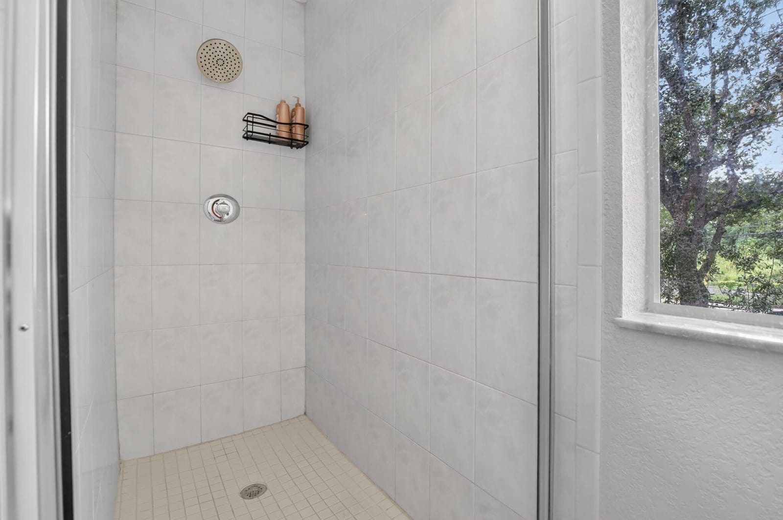 4950 PALM GARDEN Lane — photo 6