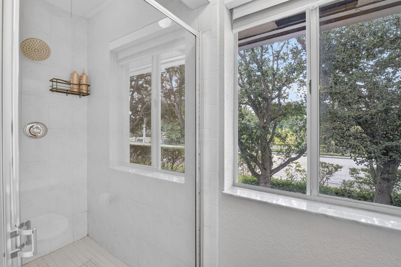 4950 PALM GARDEN Lane — photo 7