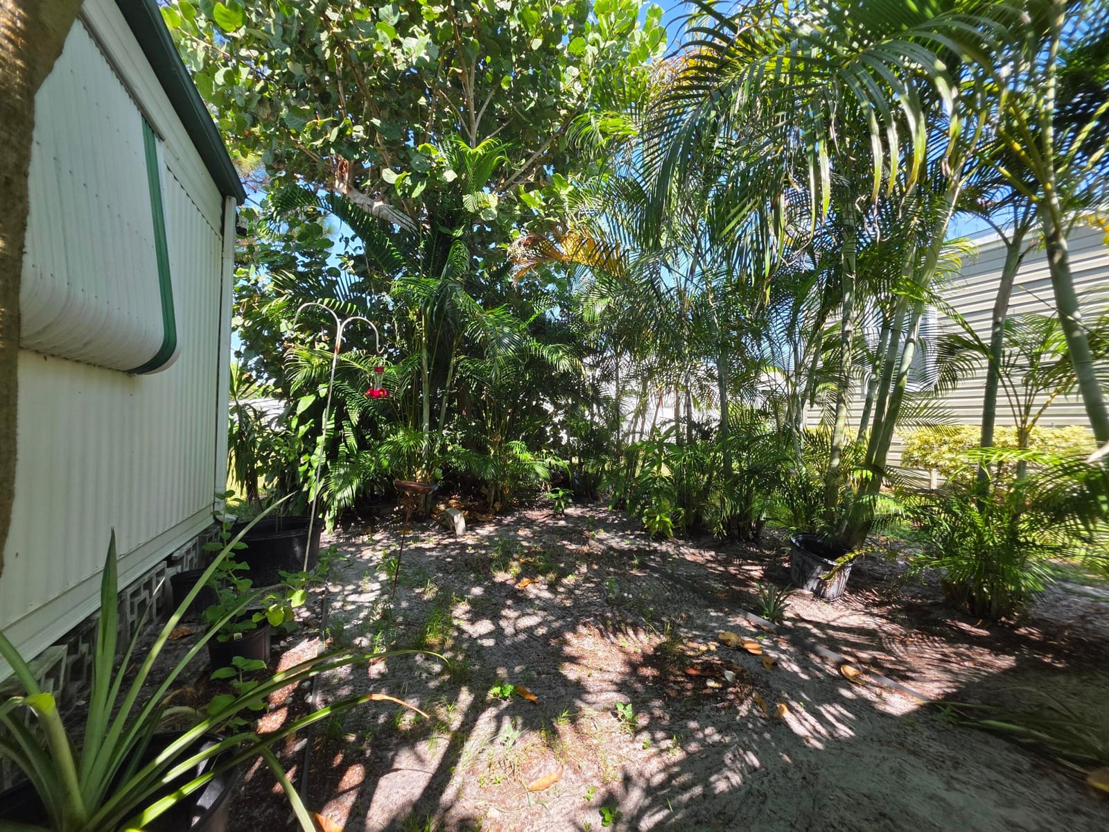 6125 N Guava Lane — photo 4