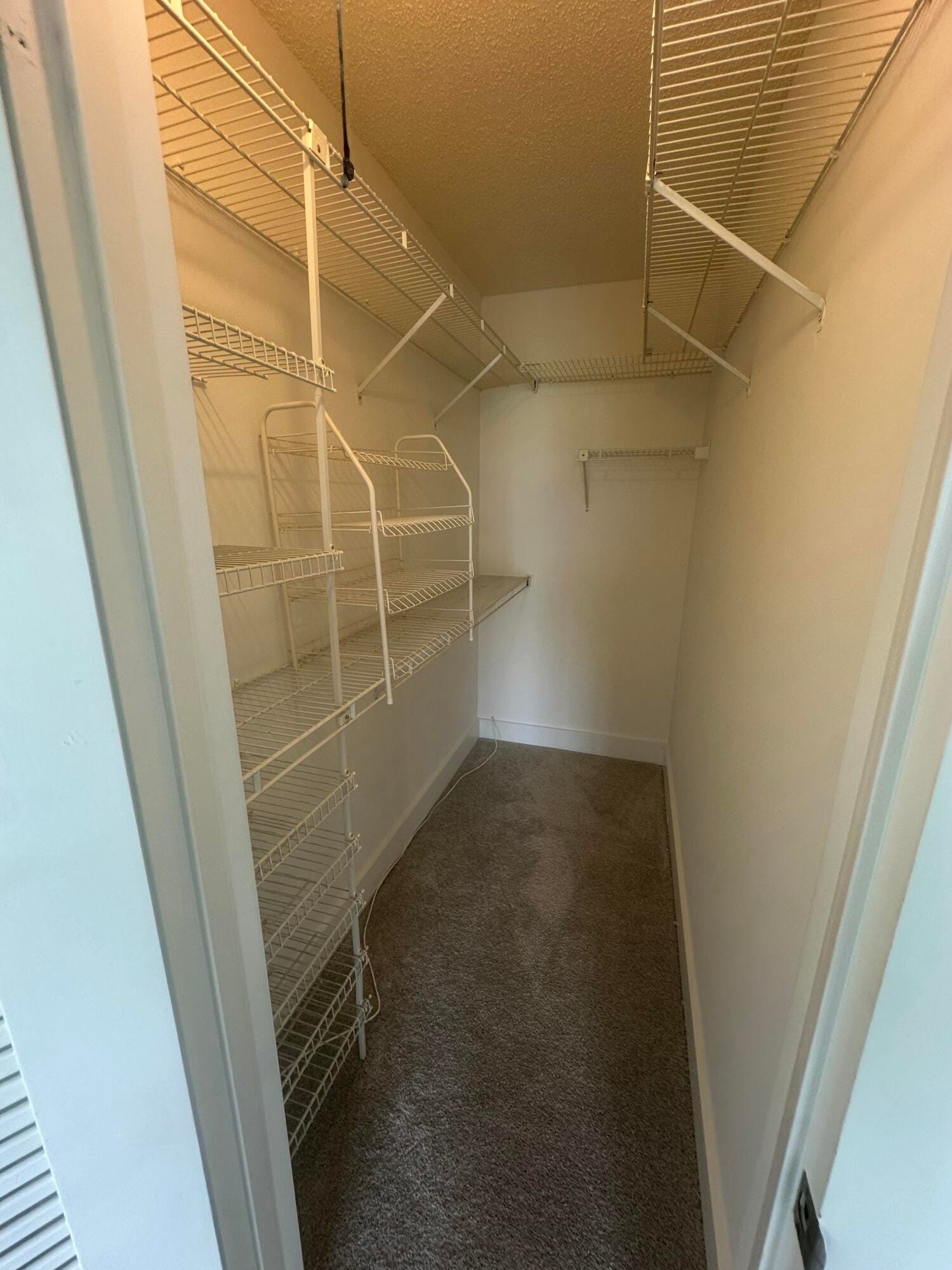 165 BRIGHTON D 165 — photo 10