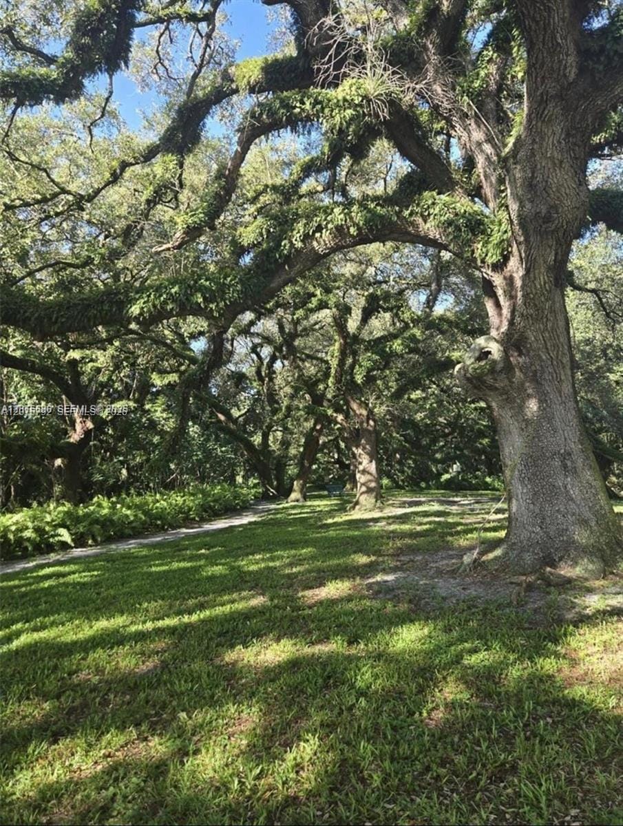 9400 Live Oak Place 205 — photo 12