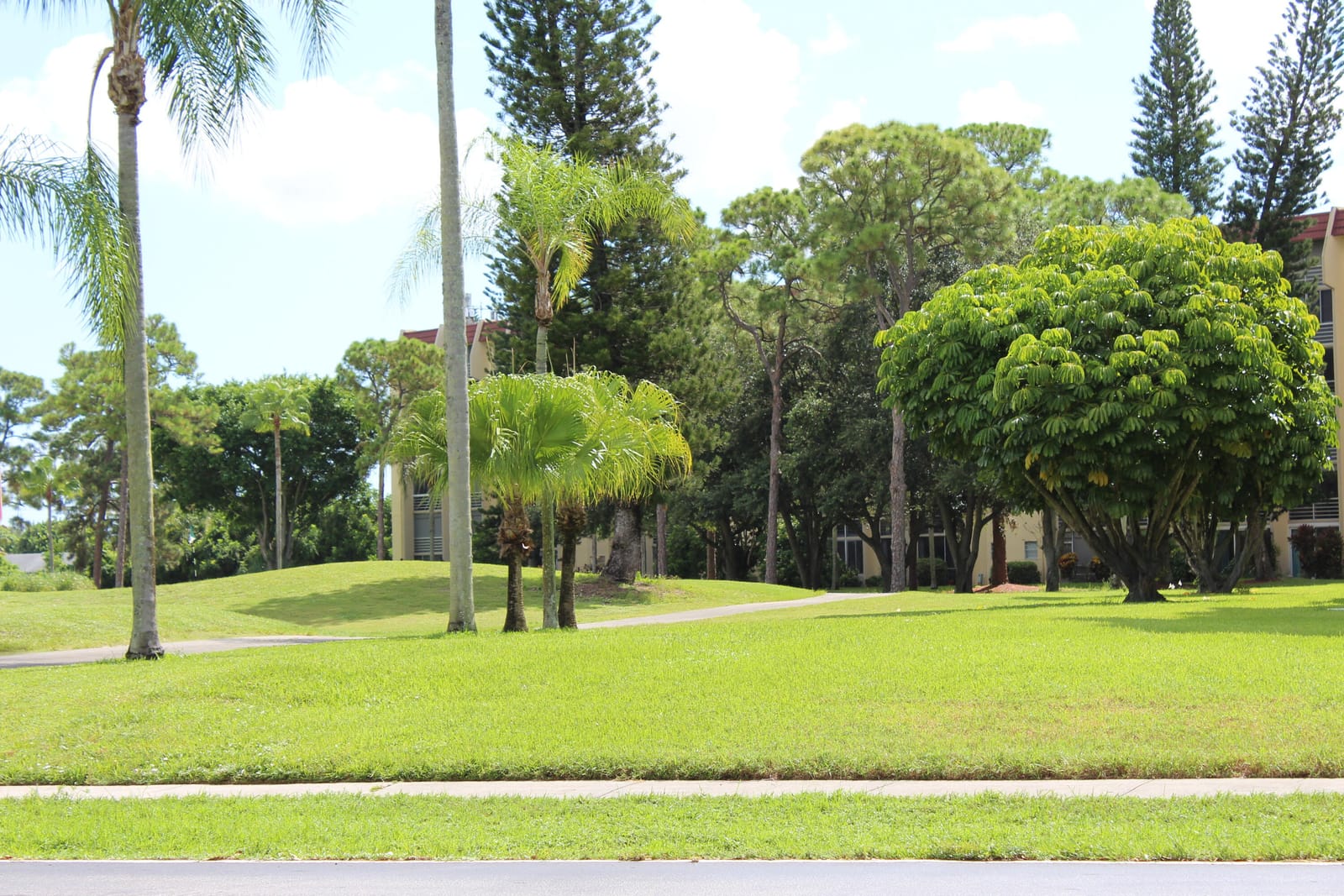 3425 VIA POINCIANA 203, Lake Worth, FL 33467 photo 18