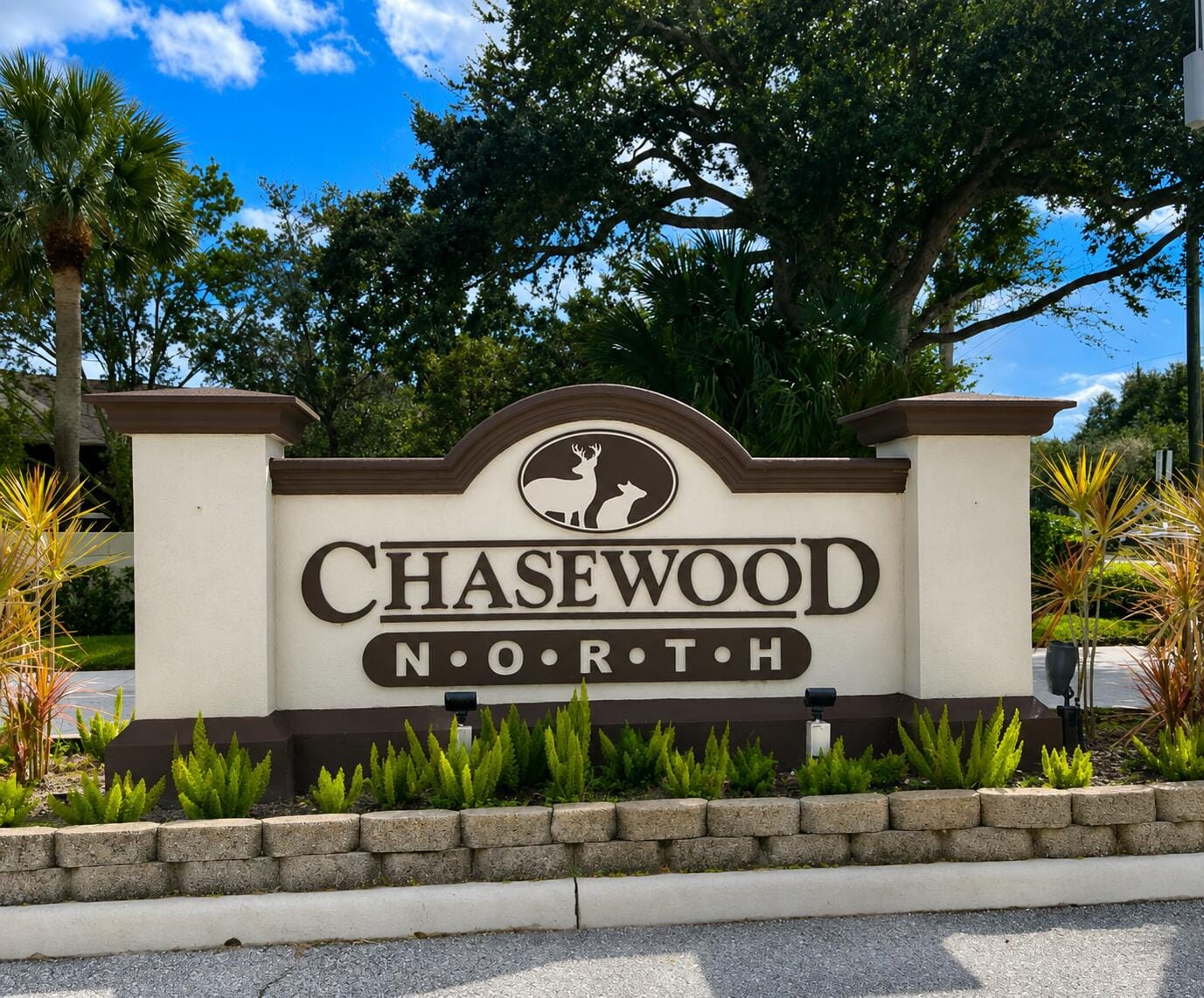 6519 Chasewood Drive D — photo 3