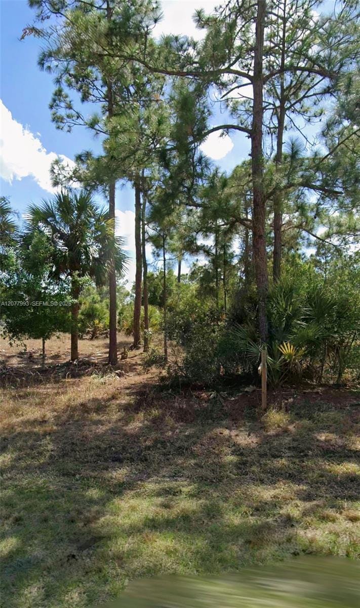 536 Hunting Club Avenue, Clewiston, FL photo 3