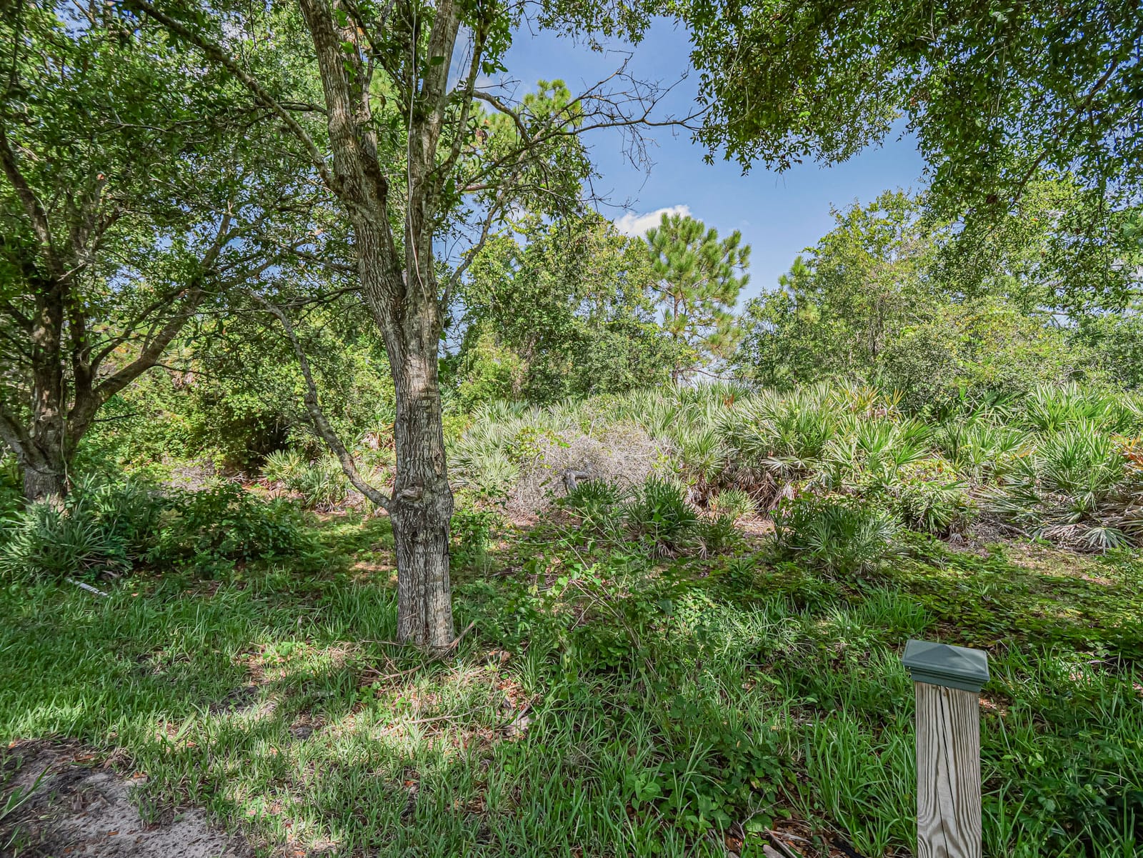 4338 56TH Lane, Vero Beach, FL 32967 photo 9