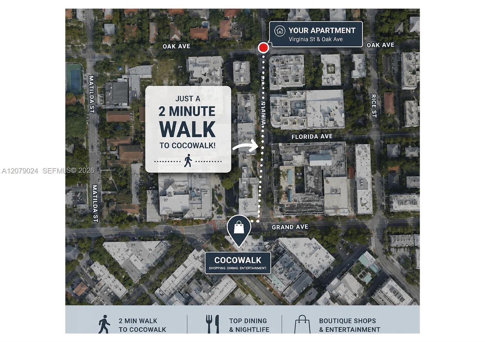 3339 Virginia Street 320, Miami, FL 33133 photo 23