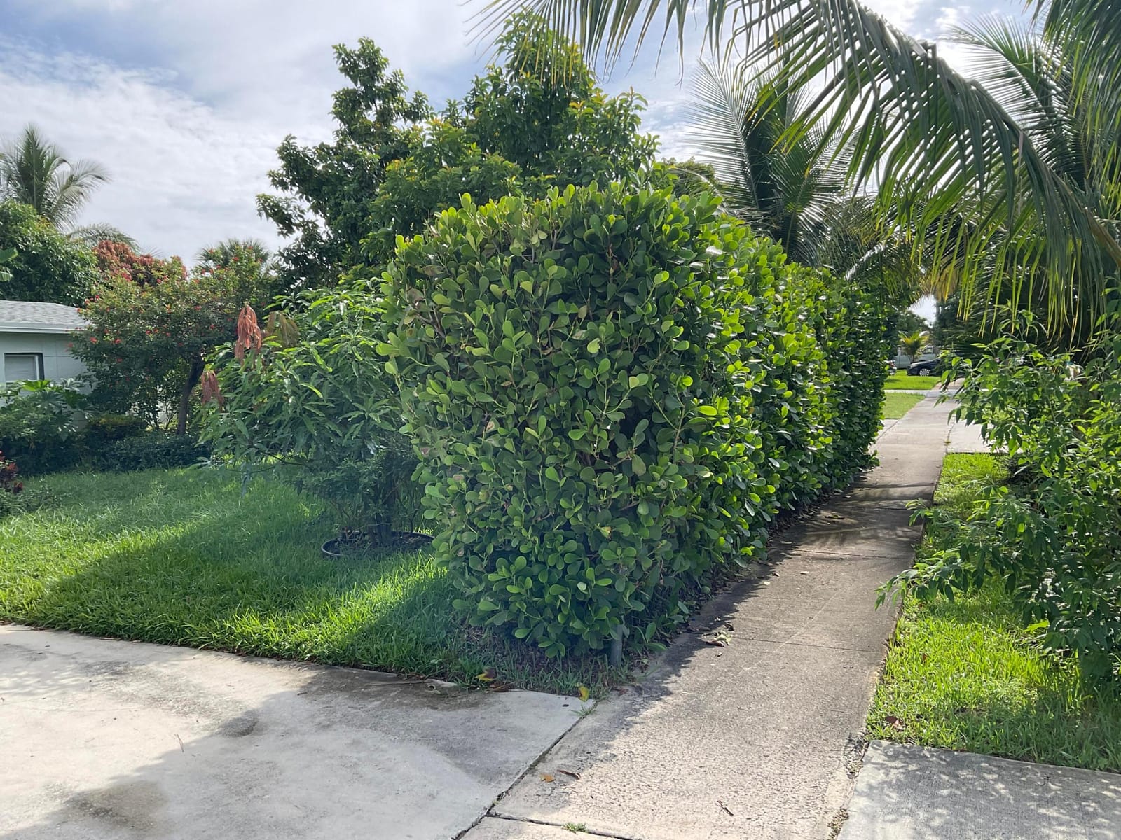 211 NE 27TH Avenue, Boynton Beach, FL 33435 photo 3