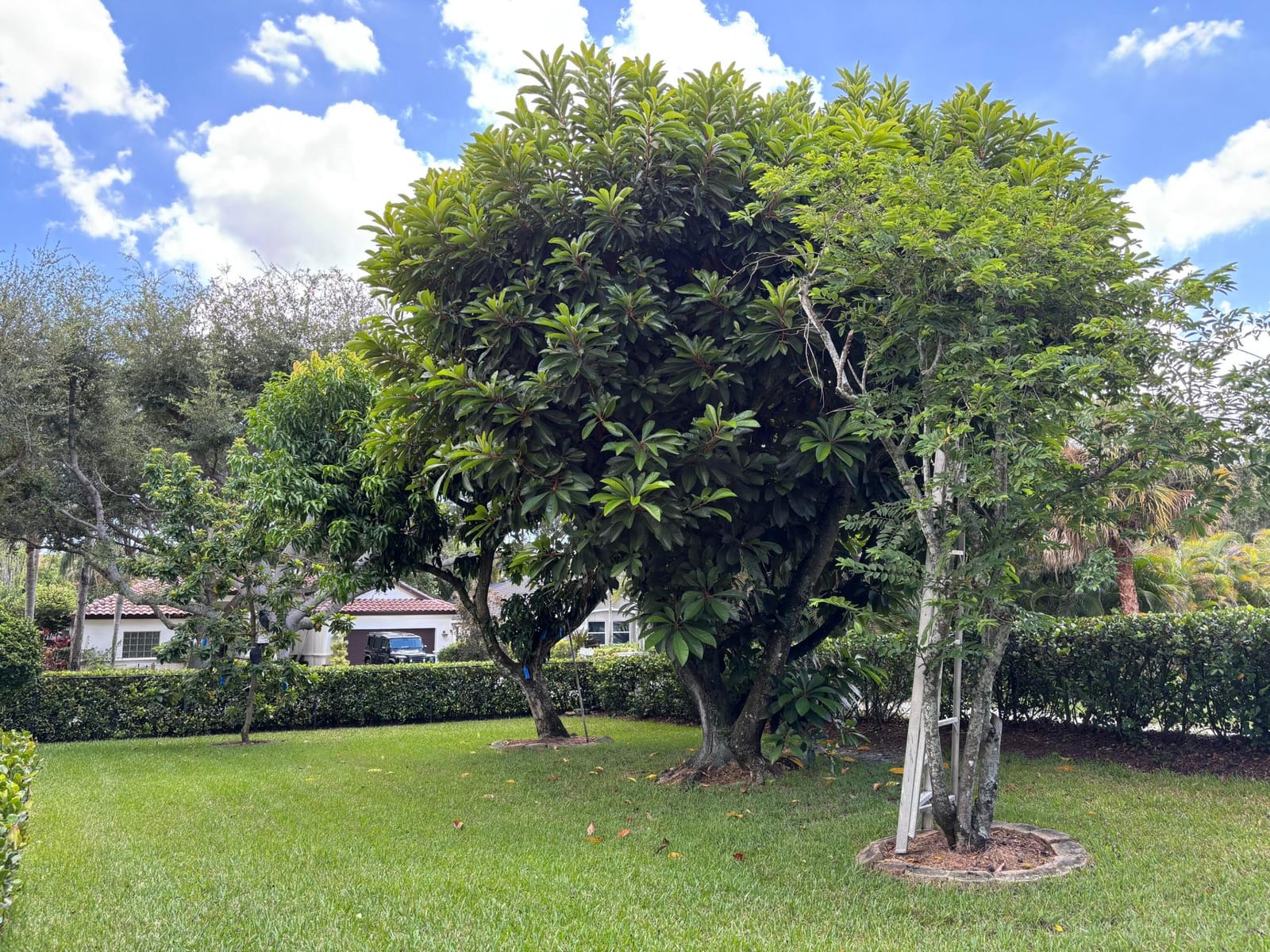 391 Mallard Point, Jupiter, FL 33458 photo 6