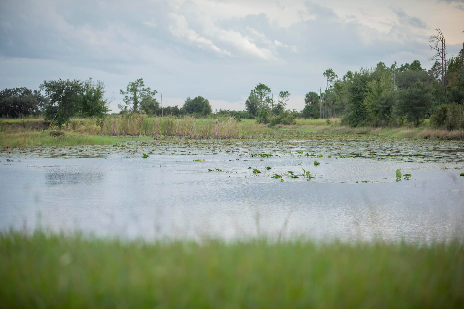 32801 US HIGHWAY 441 N, Okeechobee, FL 34972 photo 10
