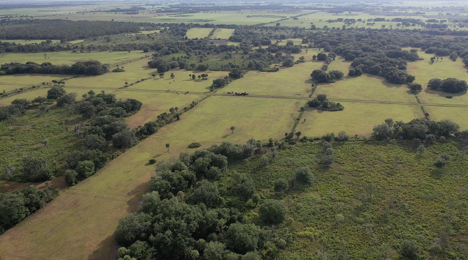32801 US HIGHWAY 441 N, Okeechobee, FL 34972 photo 14