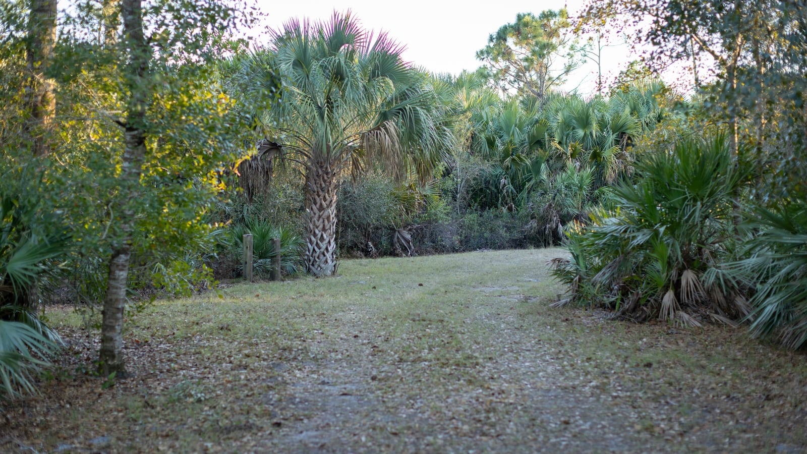 32801 US HIGHWAY 441 N, Okeechobee, FL 34972 photo 2