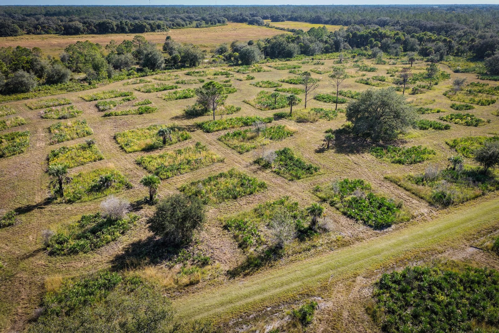 32801 US HIGHWAY 441 N, Okeechobee, FL 34972 photo 18