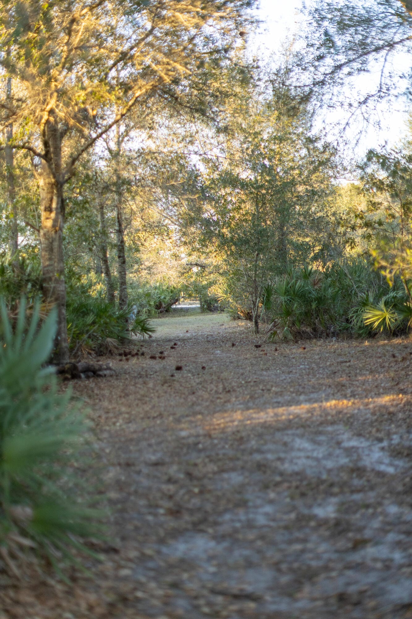 32801 US HIGHWAY 441 N, Okeechobee, FL 34972 photo 4
