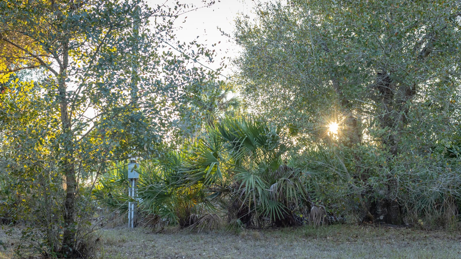 32801 US HIGHWAY 441 N, Okeechobee, FL 34972 photo 5