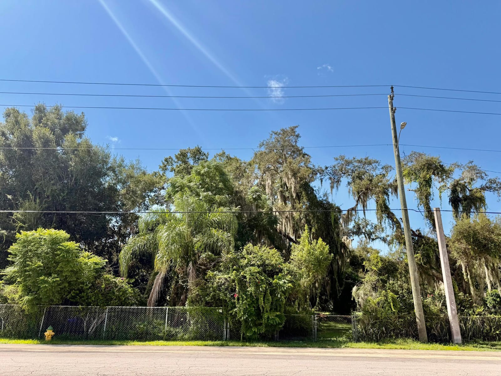 304 SE 4TH Street, Okeechobee, FL 34974 photo 6