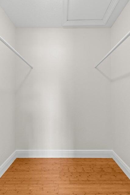 4610 Pine Tree Drive — photo 8