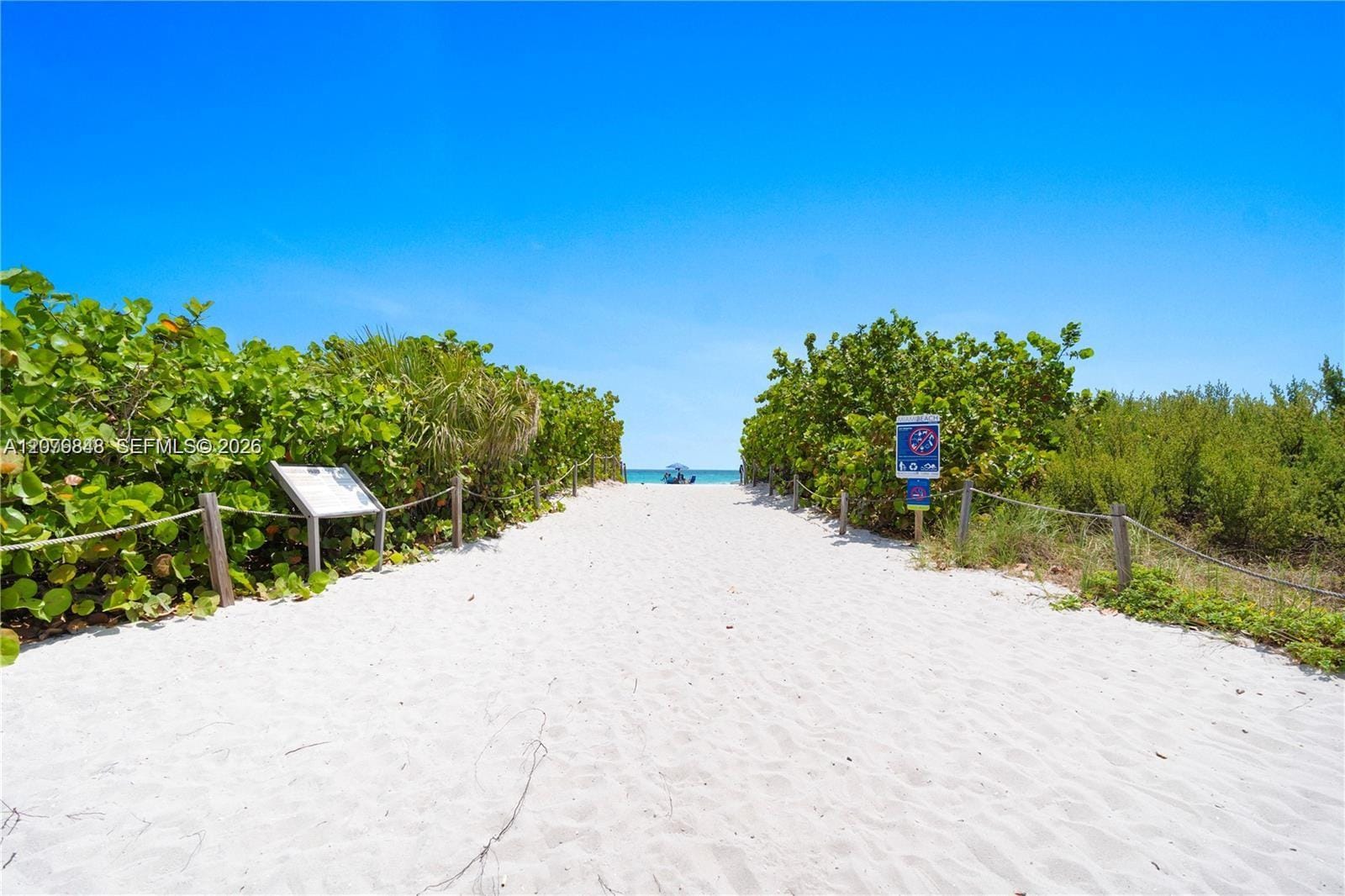 6450 Collins Avenue 205 — photo 7