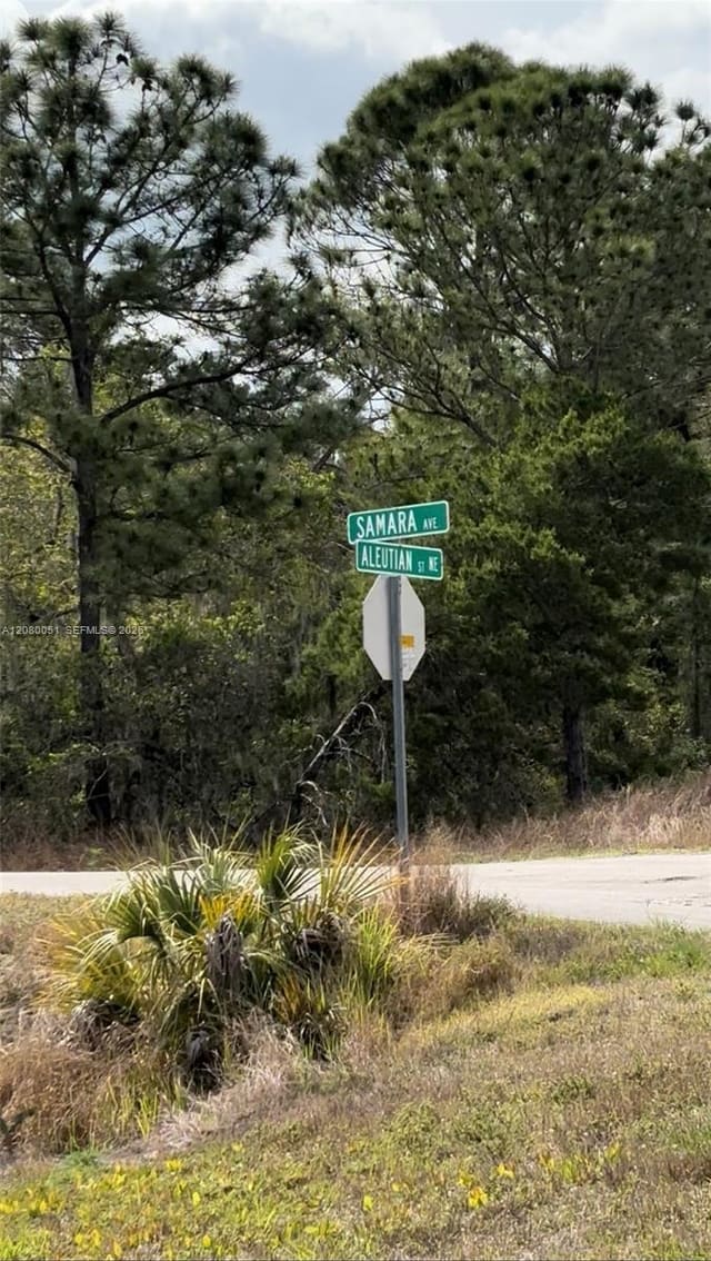 1215 Aleutian Street NE, Lake Placid, FL 33852