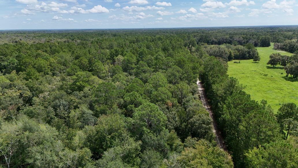 0 NW 198th Lane, Alachua, FL 32615 photo 12