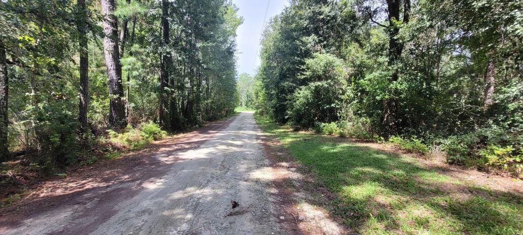 0 NW 198th Lane, Alachua, FL 32615 photo 15