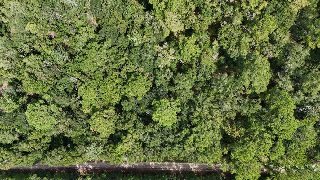 0 NW 198th Lane, Alachua, FL 32615 photo 16