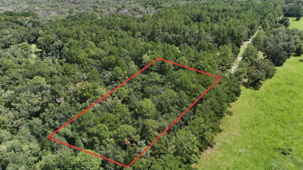 0 NW 198th Lane, Alachua, FL 32615 photo 4