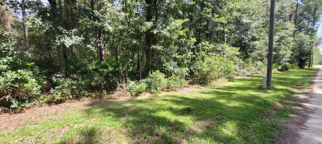 0 NW 198th Lane, Alachua, FL 32615 photo 5