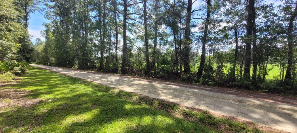 0 NW 198th Lane, Alachua, FL 32615 photo 7