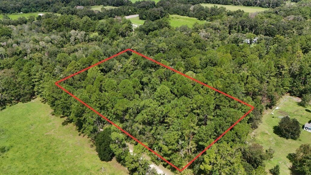 0 NW 198th Lane, Alachua, FL 32615 photo 8