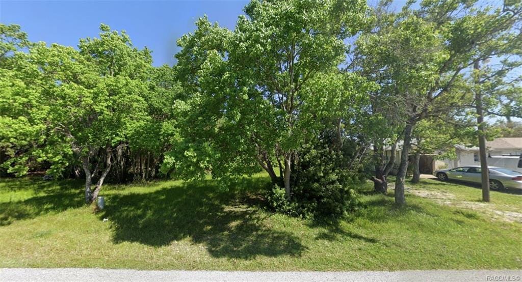 8133 Gulf Way, Hudson, FL 34667 photo 8