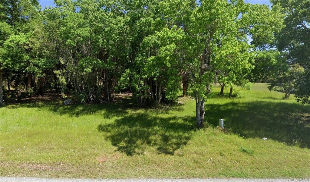 8133 Gulf Way, Hudson, FL 34667 photo 9