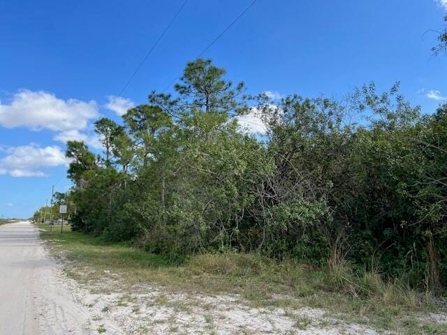 "17992" 94th Street N, Loxahatchee, FL 33470 photo 8