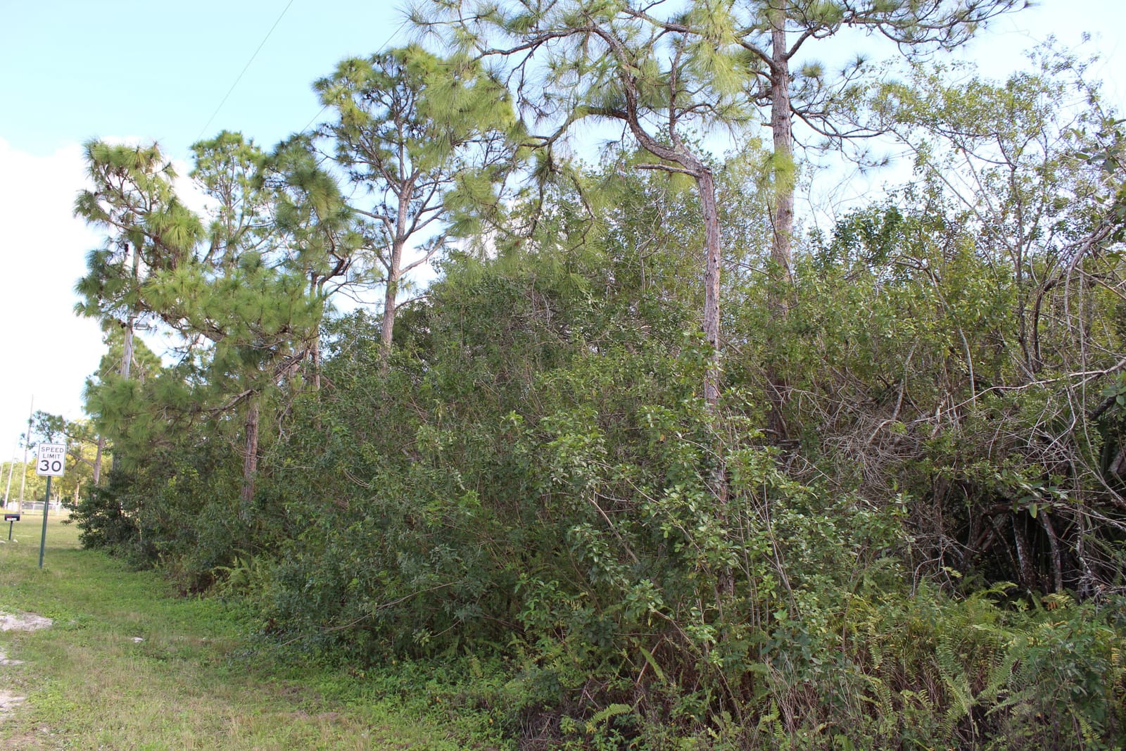 "17992" 94th Street N, Loxahatchee, FL 33470 photo 6