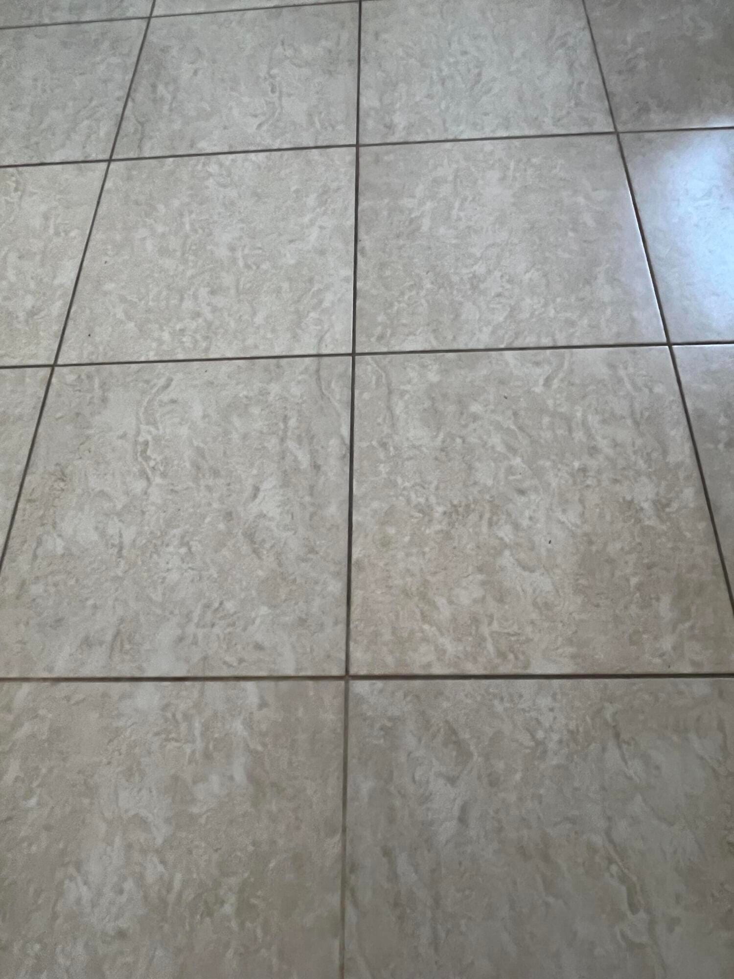 7 FLANDERS A — photo 12