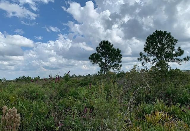 48341 Bermont Road, Punta Gorda, FL 33982