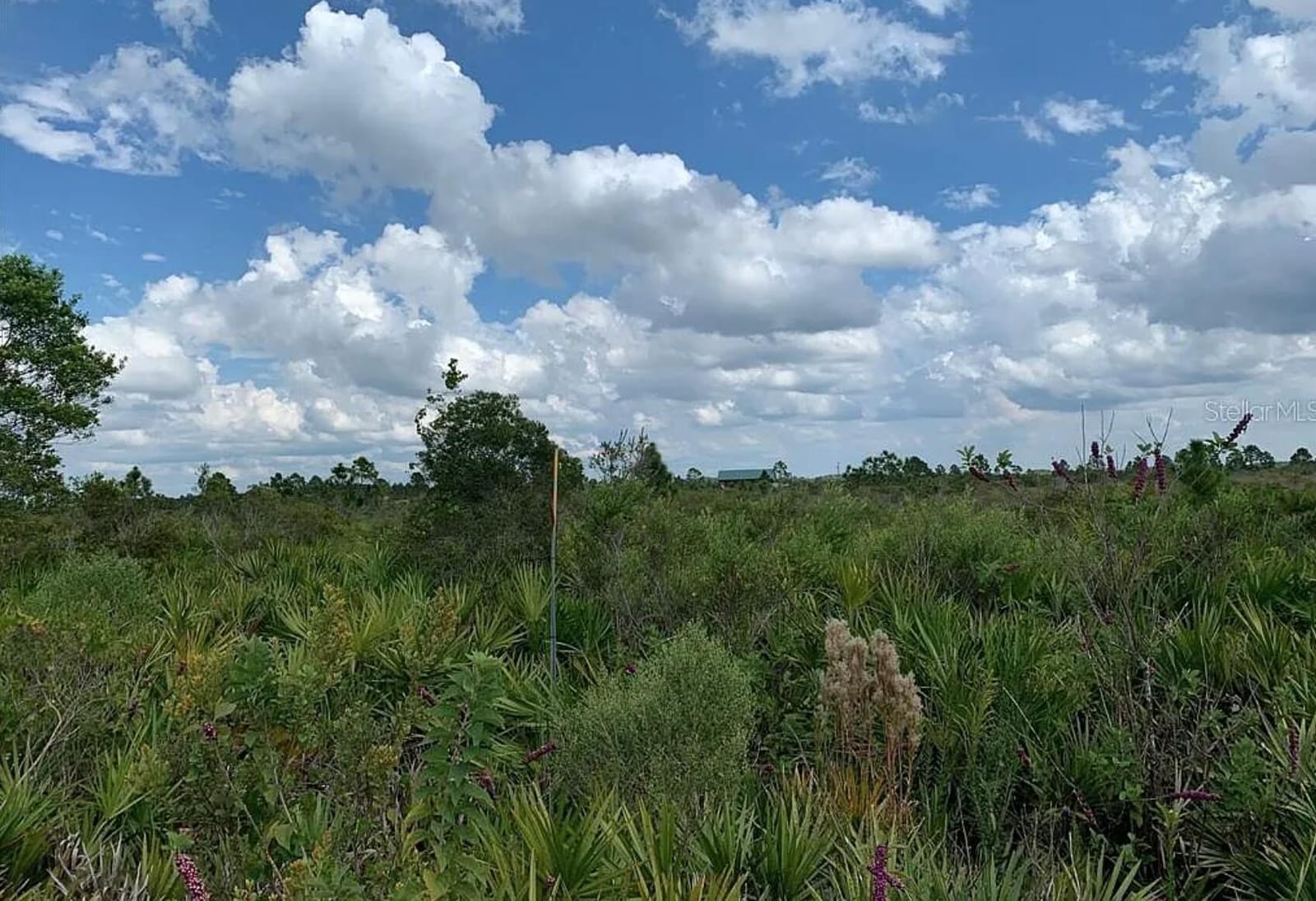 48341 Bermont Road, Punta Gorda, FL 33982 photo 3