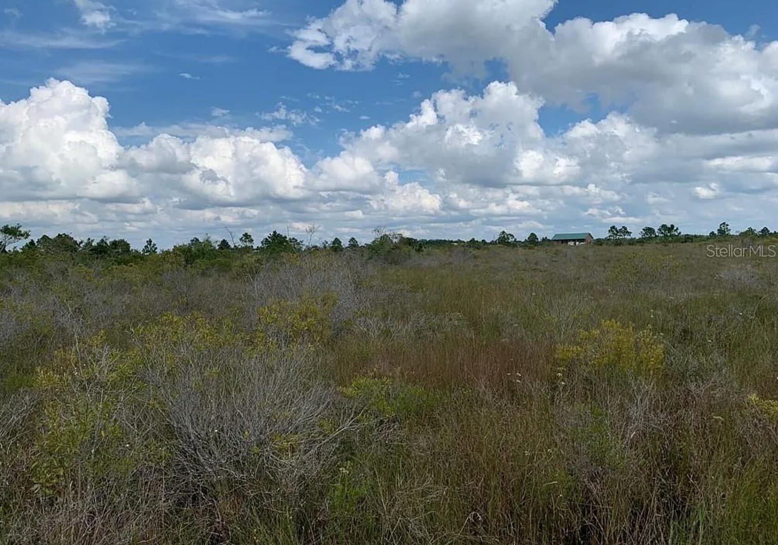 48341 Bermont Road, Punta Gorda, FL 33982 photo 4