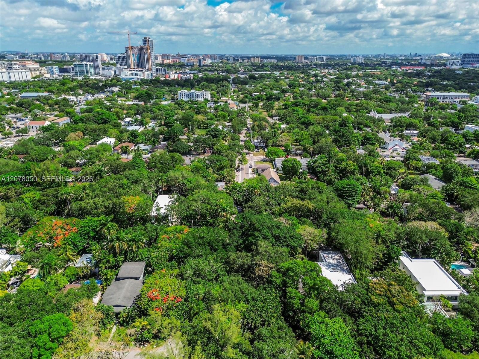 3595 Avocado Avenue, Miami, FL 33133 photo 3