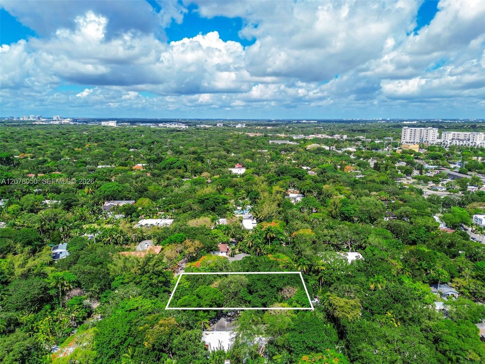 3595 Avocado Avenue, Miami, FL 33133 photo 6