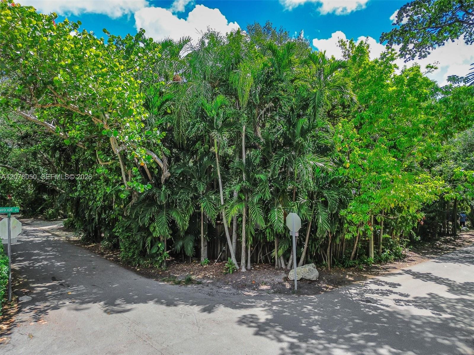 3595 Avocado Avenue, Miami, FL 33133 photo 9