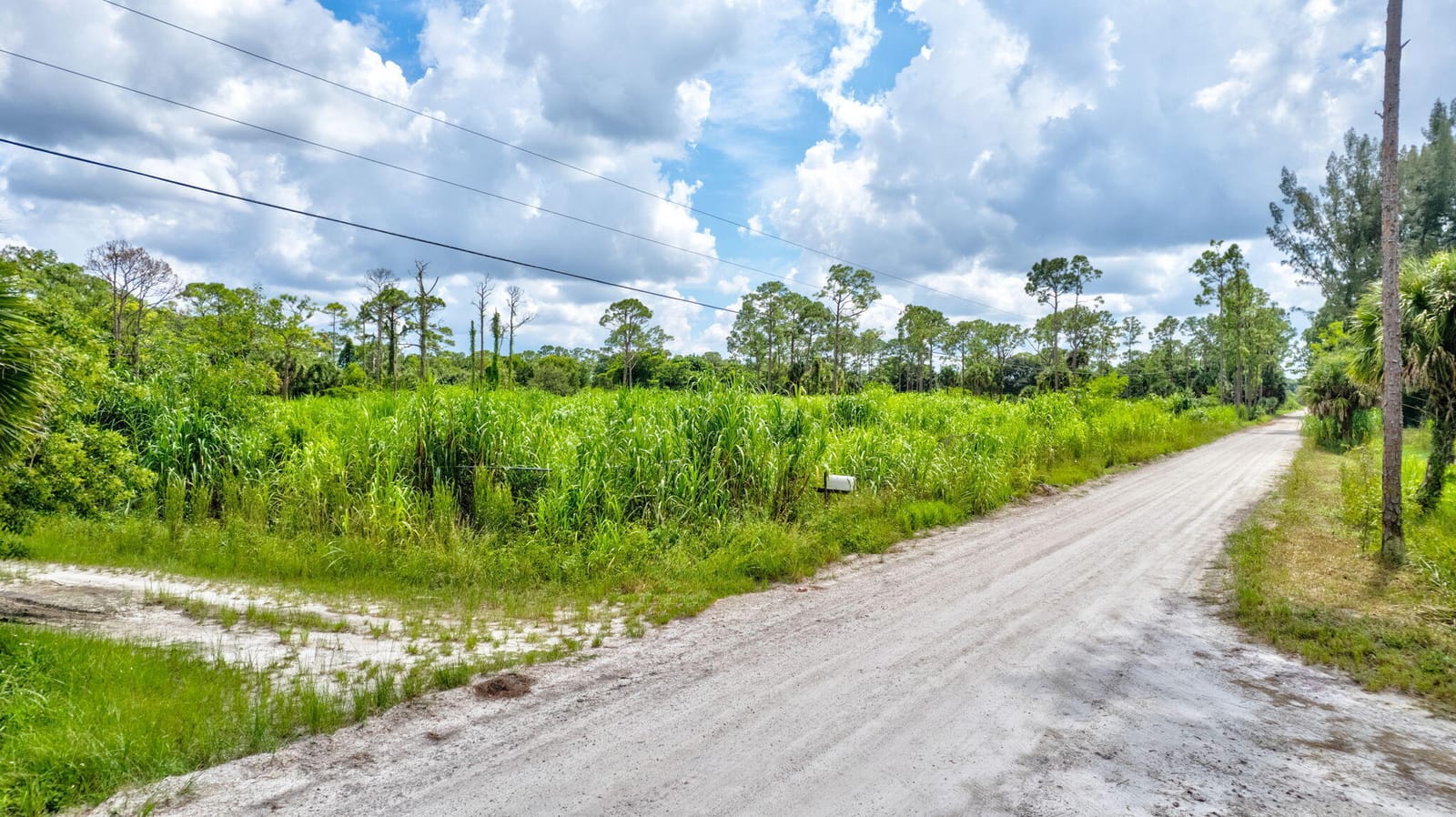 15532 43RD Street N, Loxahatchee Groves, FL 33470 photo 25