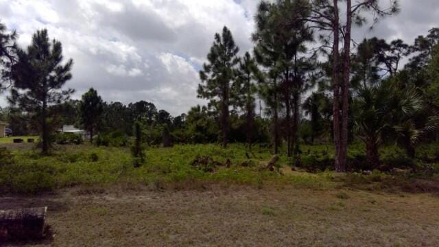 1236 COUNT Street E, Lehigh Acres, FL 33974 photo 4