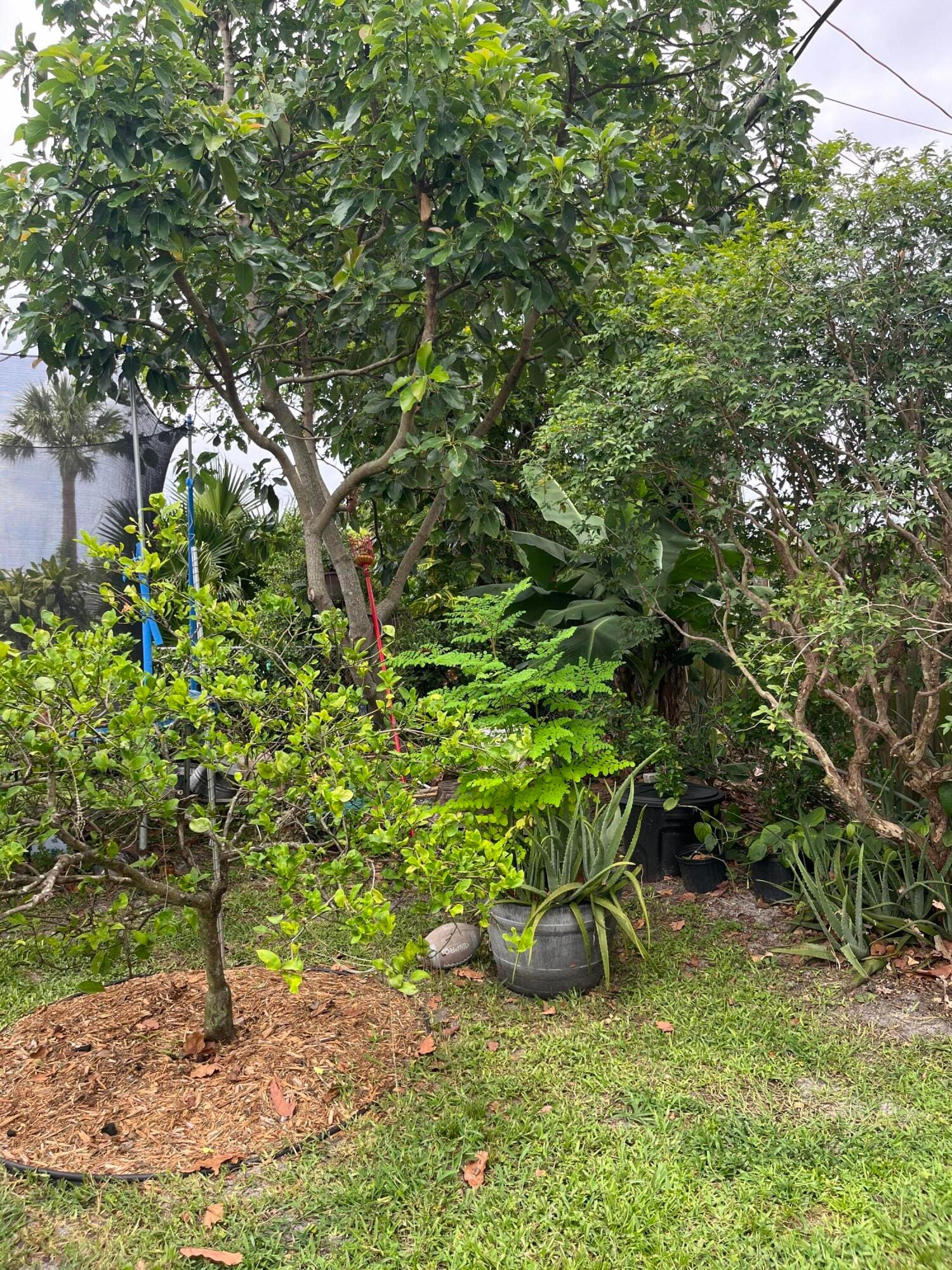 4400 APPLECREST Drive, Palm Beach Gardens, FL 33410 photo 16