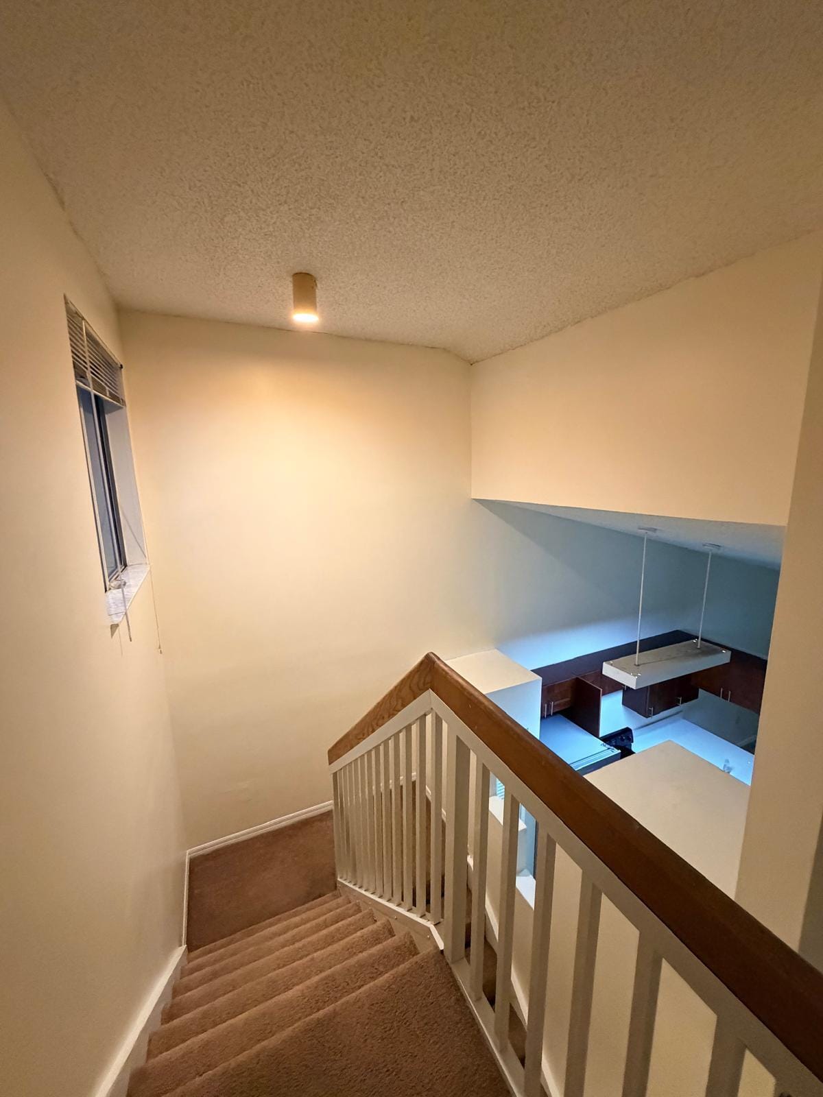 21202 GLENMOOR Drive 21202 — photo 8