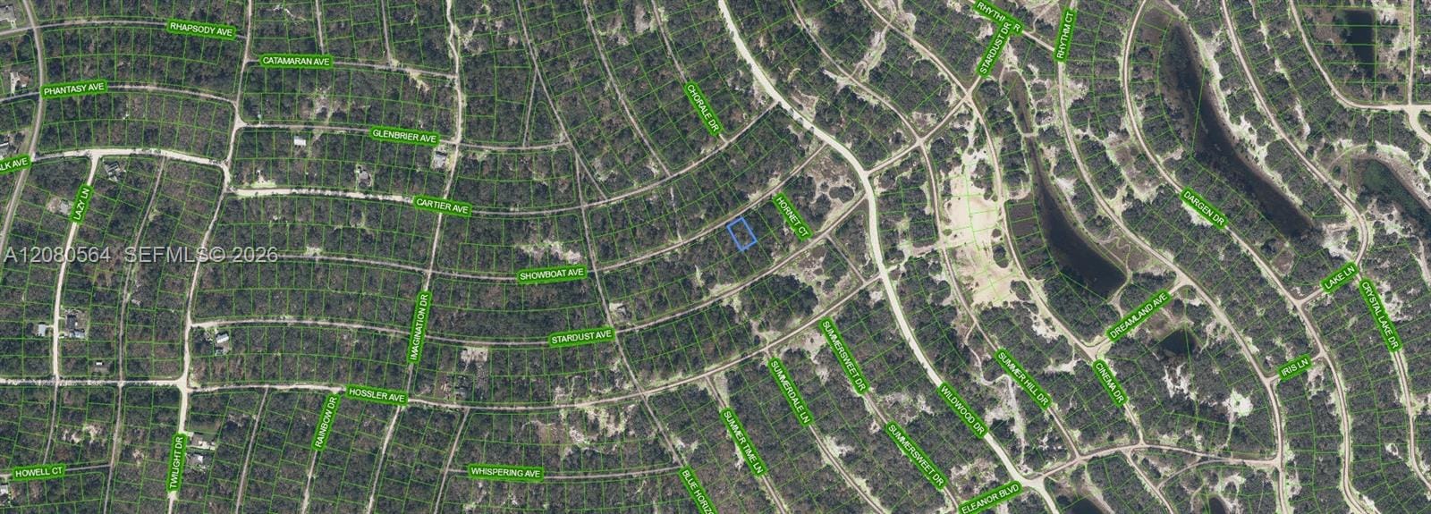 387 Showboat Avenue, Lake Placid, FL 33852 photo 2