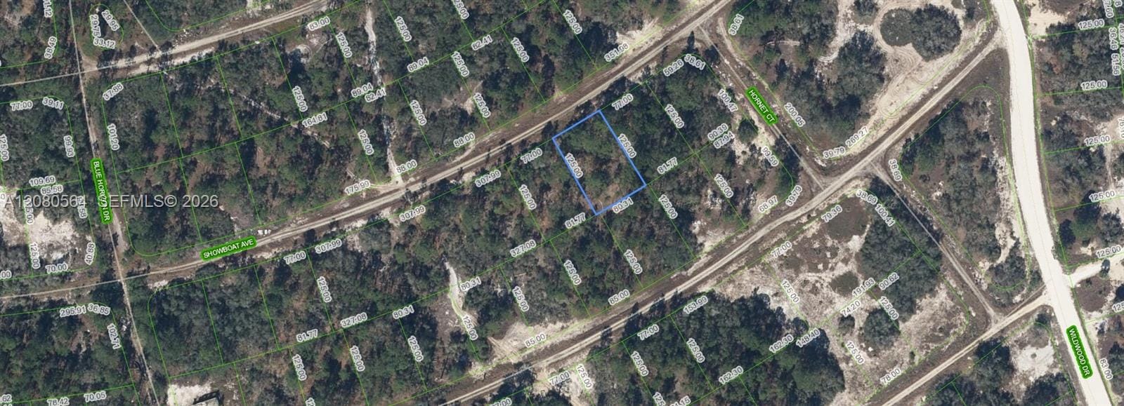 387 Showboat Avenue, Lake Placid, FL 33852