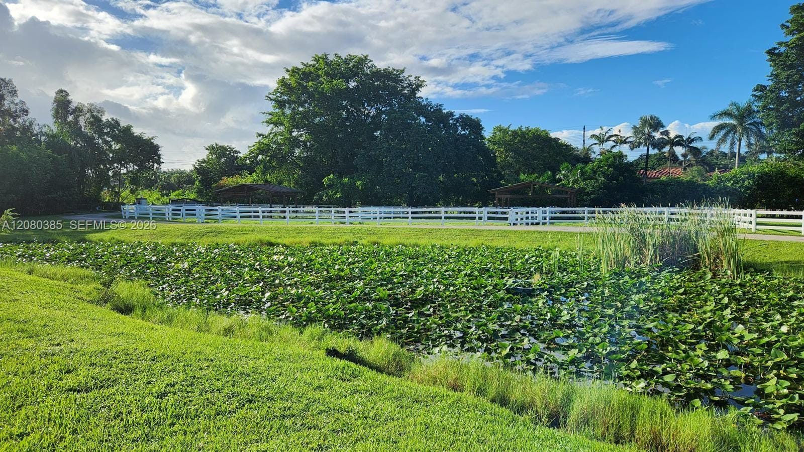 14101 Luray Road, Southwest Ranches, FL 33330 photo 16