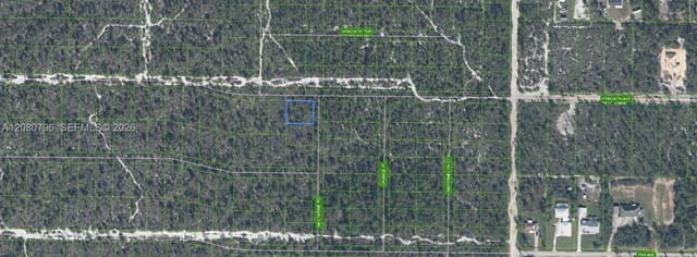 1303 Hyacinth Avenue, Sebring, FL 32303